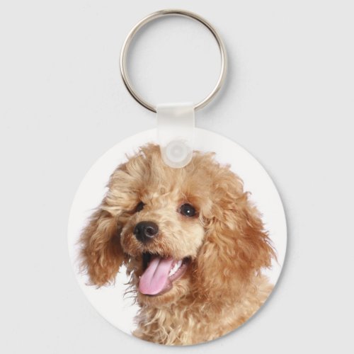 Apricot Poodle Mom Puppy Dog Dad Fur Mama Puppies Keychain