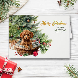 Apricot Poodle Puppy Dog Wicker Basket Christmas Cards