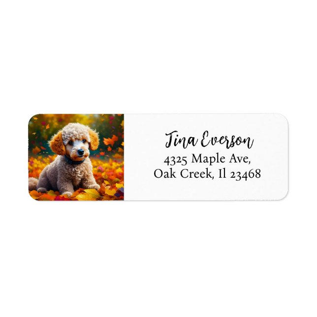 Apricot Poodle Puppy in Fall Leaves Label (Front)