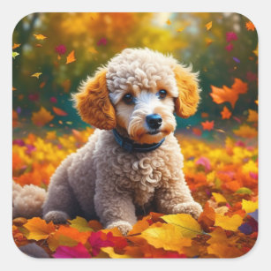 Apricot Poodle Puppy in Fall Leaves Square Sticker