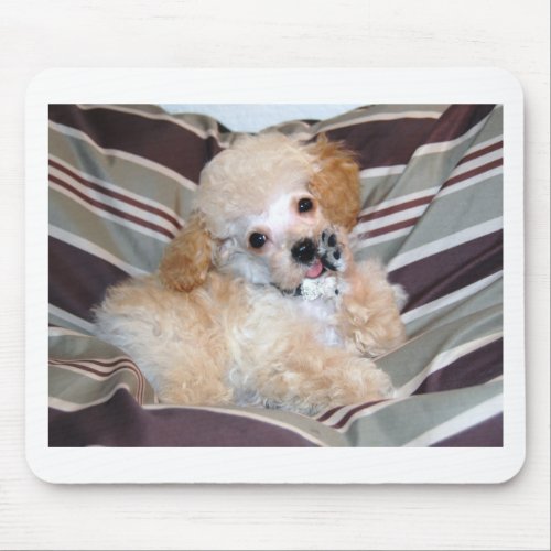 Apricot Poodle Puppy talking  waving Mouse Pad