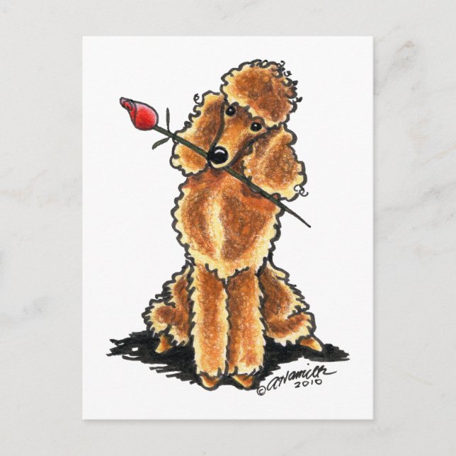 Apricot Poodle Sweetheart Valentines Holiday Postcard (Front)