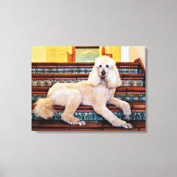 Apricot Standard Poodle - Bocelli Canvas Print