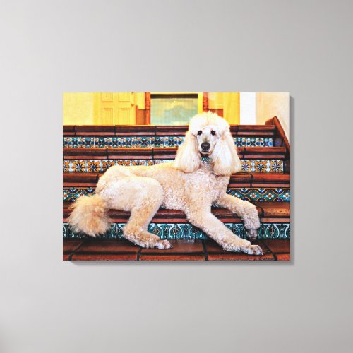 Apricot Standard Poodle _ Bocelli Canvas Print