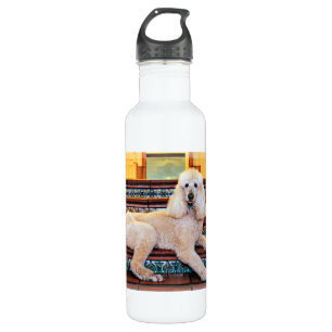 Apricot Standard Poodle - Bocelli Stainless Steel Water Bottle