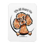 Apricot Toy Miniature Poodle IAAM Magnet