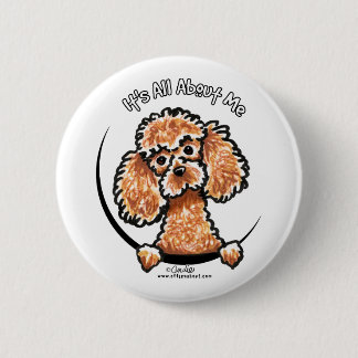 Apricot Toy Miniature Poodle IAAM Pinback Button