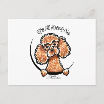 Apricot Toy Miniature Poodle Iaam Postcard by offleashart at Zazzle