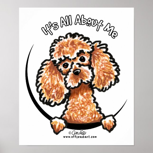 Apricot Toy Miniature Poodle IAAM Poster (Front)
