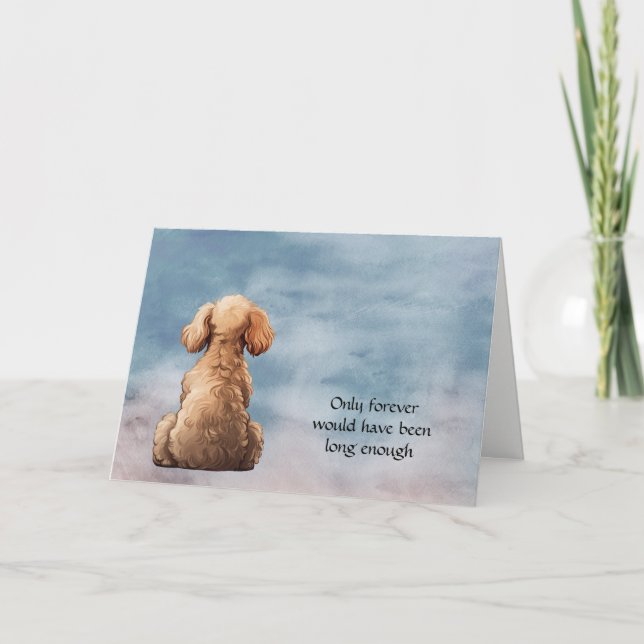 Apricot Toy Poodle Dog Sympathy Card (Front)