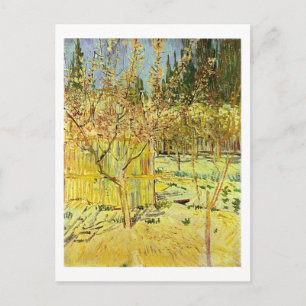 Apricot Trees in Blossom, Van Gogh Fine Art Postcard