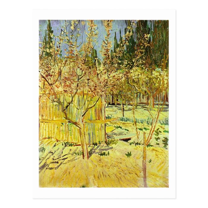 Apricot Trees in Blossom, Vincent van Gogh Post Cards