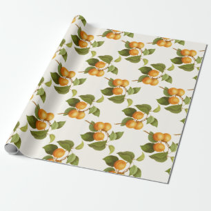 Apricot Wrapping Paper