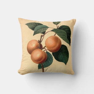 Apricots Botanical Illustration Throw Pillow