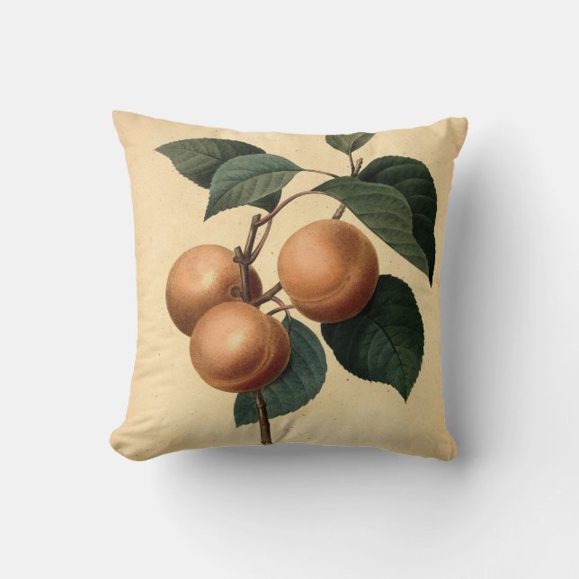 Apricots Botanical Illustration Throw Pillow (Front)