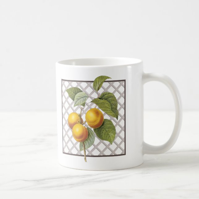 APRICOTS COFFEE MUG (Right)