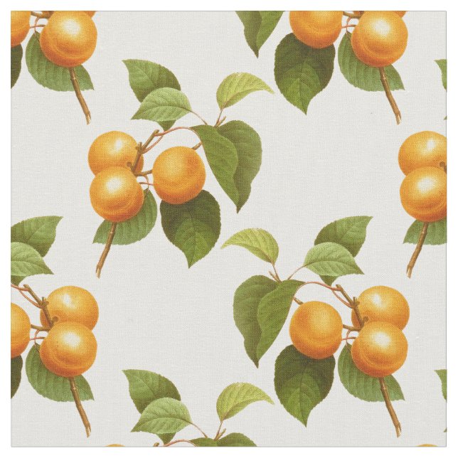 Apricots Fabric (Close Up)
