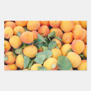 Apricots Rectangular Sticker