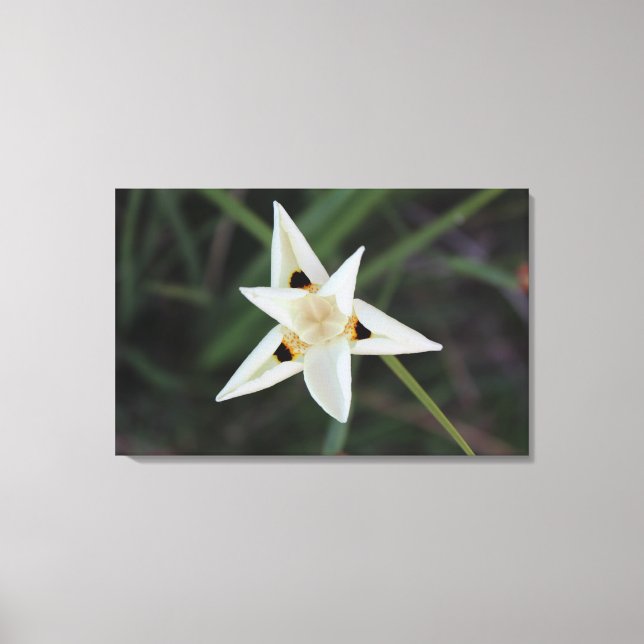 April 30 Garden Flower Canvas Print (Front)