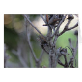 April 30 Summer Sticks (Front Horizontal)