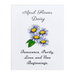 April Birth Month Flower Daisy Fresh and Simple  Acrylic Print