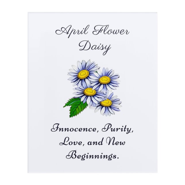 April Birth Month Flower Daisy Fresh and Simple  Acrylic Print (Front)