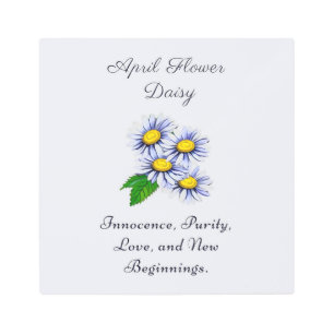 April Birth Month Flower Daisy Fresh and Simple  Metal Print