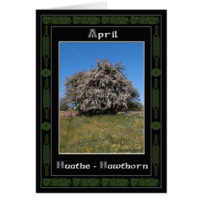 April Birthday Celtic Oracle Divination Cards