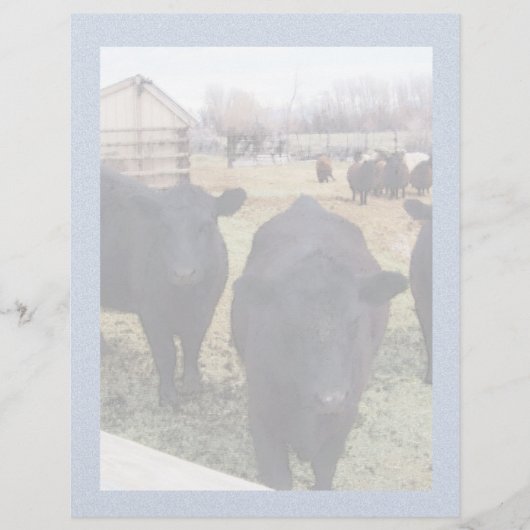April Cattle (Front)
