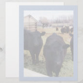 April Cattle (Front/Back)