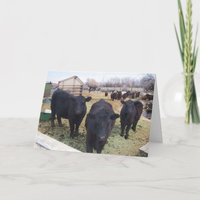 April Cattle Letterpress Thank You Card (Front)