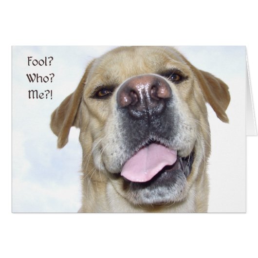 April fool's day cards (Front Horizontal)