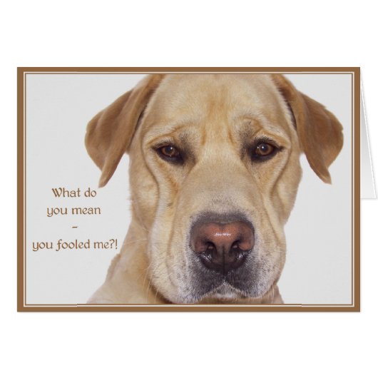 April fool's day cards (Front Horizontal)
