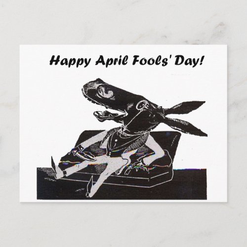 April Fools Day Funny Donkey Cartoon Postcard