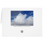 April Showers Cards (Back Horizontal)