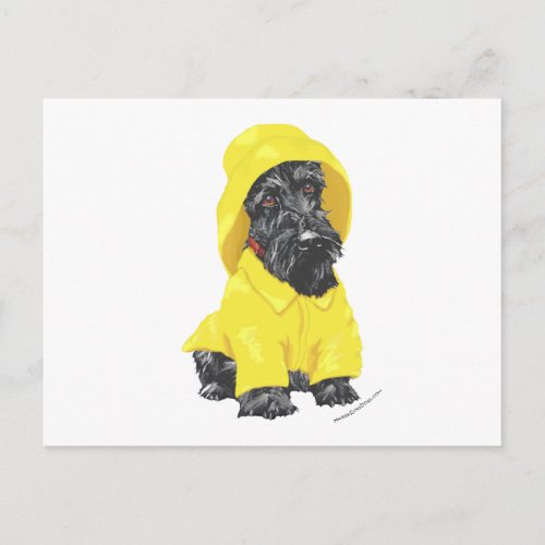 April Showers Scottish Terrier Postcard