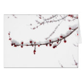 April Snow Blank Card (Front Horizontal)