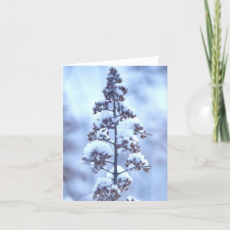 April Snow Card