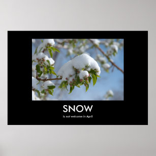 April Snow Demotivational Poster