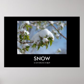 April Snow Demotivational Poster by bluerabbit at Zazzle