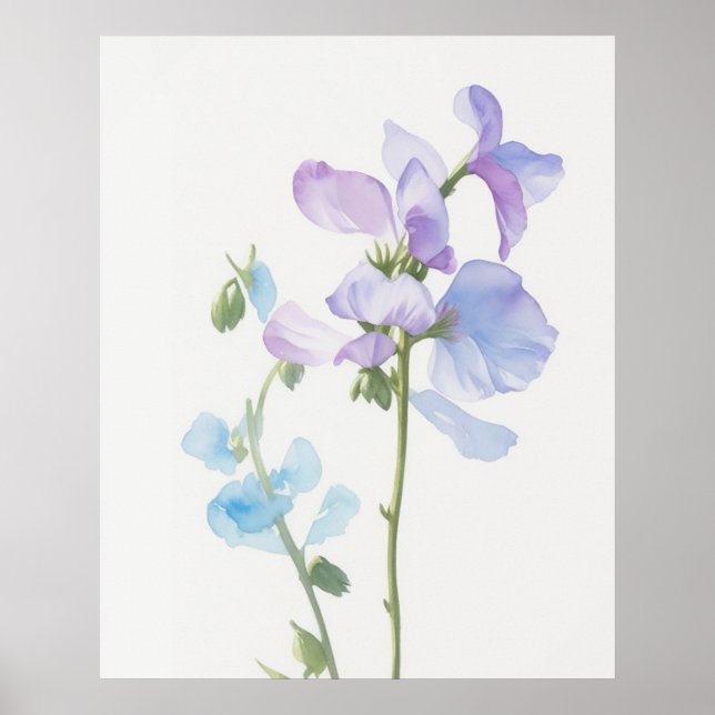 April Sweet Pea Birth Flower Poster (Front)