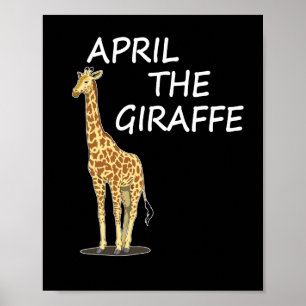 April The Giraffe Poster