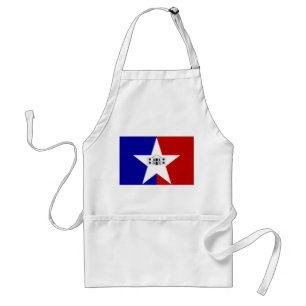 Apron with Flag of San Antonio City, USA