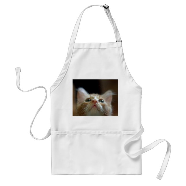 Apron with Orange Tabby Kitten (Front)
