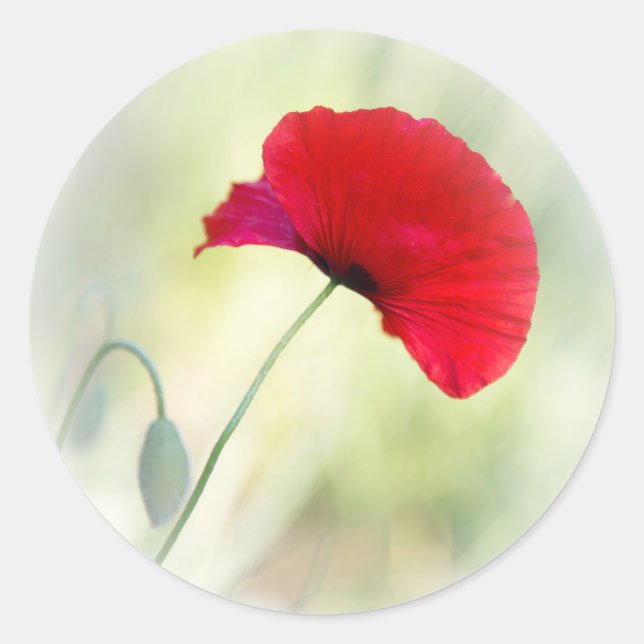 Apron with red poppy "Be happy!" Classic Round Sticker (Front)