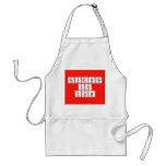 Science
 is 
 fun  Aprons