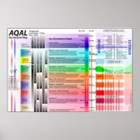 AQAL Chart ED ver 9