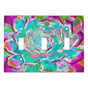 Aqua and Magenta Succulent Sedum Rosette Light Switch Cover
