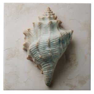 Aqua and Sand Coastal Conch Shell Ceramic Tile