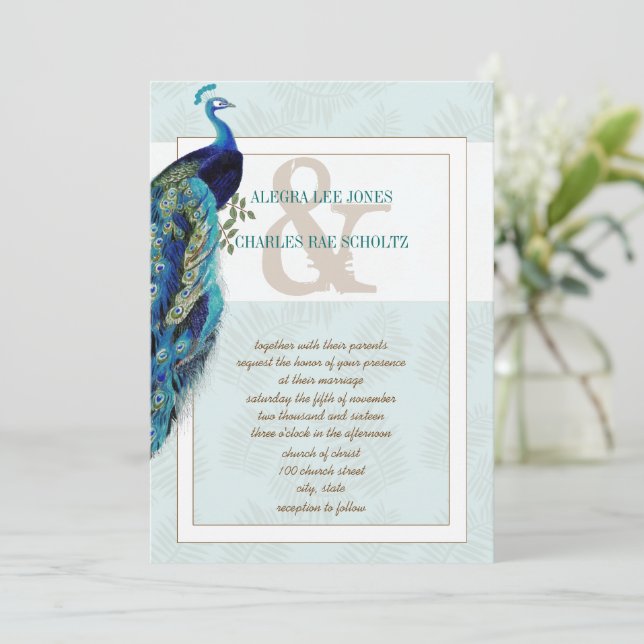 Aqua Blue and Brown Peacock Wedding Invitation (Standing Front)